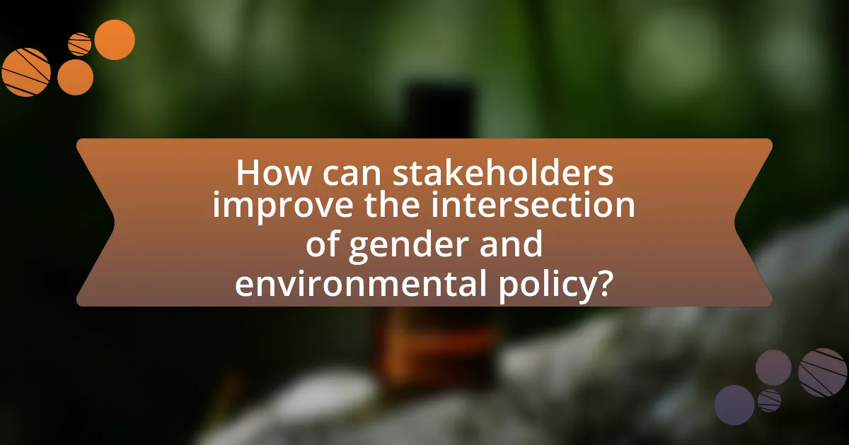 How can stakeholders improve the intersection of gender and environmental policy?