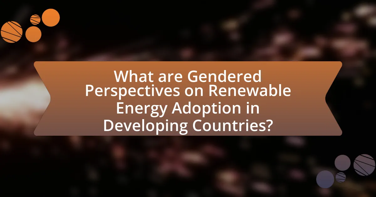 What are Gendered Perspectives on Renewable Energy Adoption in Developing Countries?