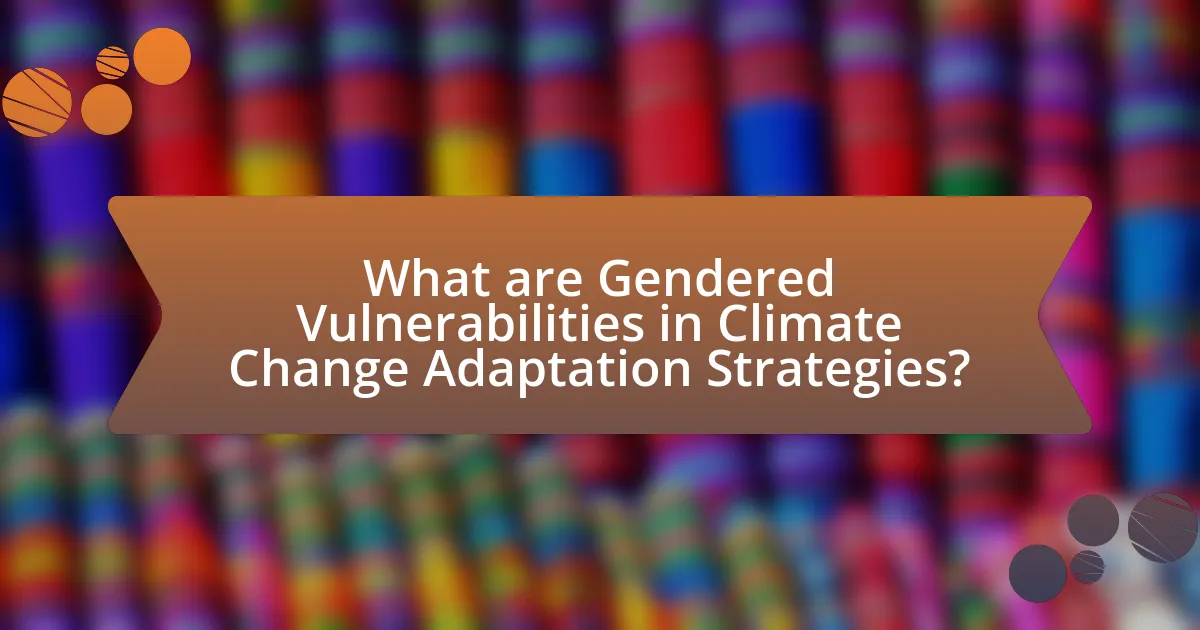 What are Gendered Vulnerabilities in Climate Change Adaptation Strategies?