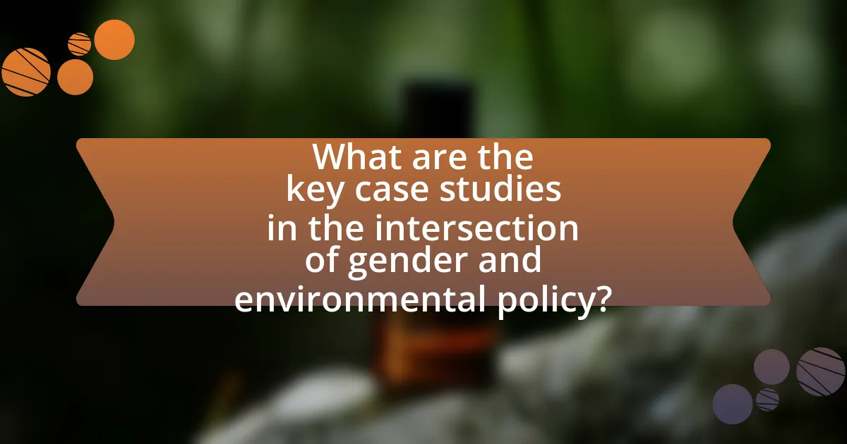 What are the key case studies in the intersection of gender and environmental policy?