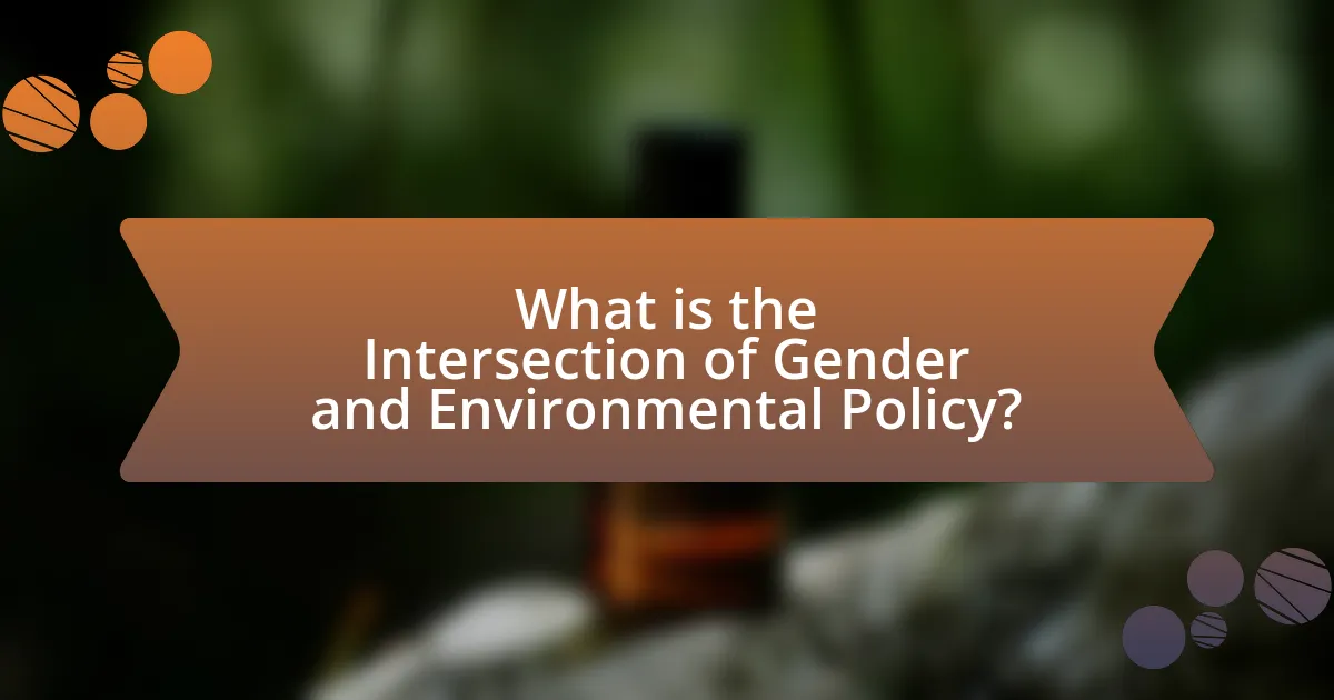 What is the Intersection of Gender and Environmental Policy?